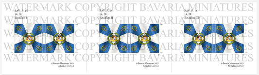 BAV_FL_14 - Flags of the 14th Infantry Regiment (3)